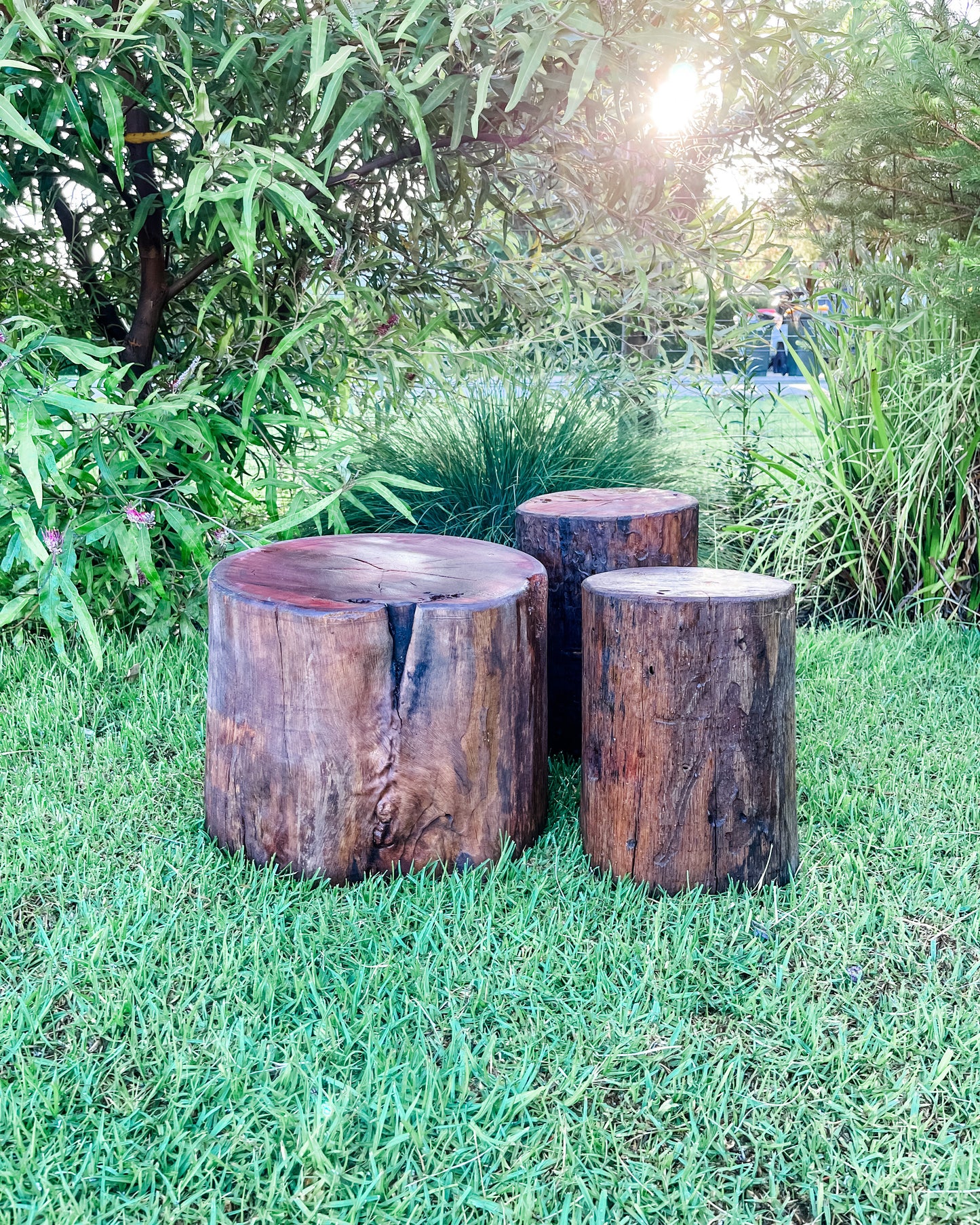 Nature Play Logs