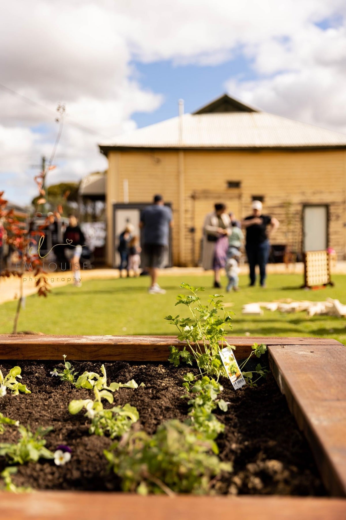 Raised Timber Garden Bed – School & Education Garden Planter