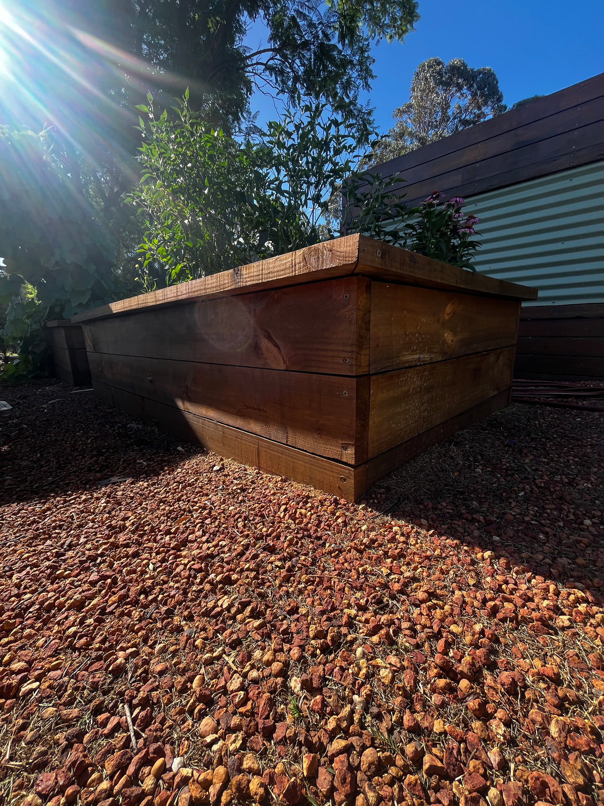 Raised Timber Garden Bed – School & Education Garden Planter