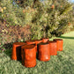 Natural Jarrah Stool/Stepping Logs - SOLD OUT