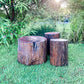 Nature Play Logs
